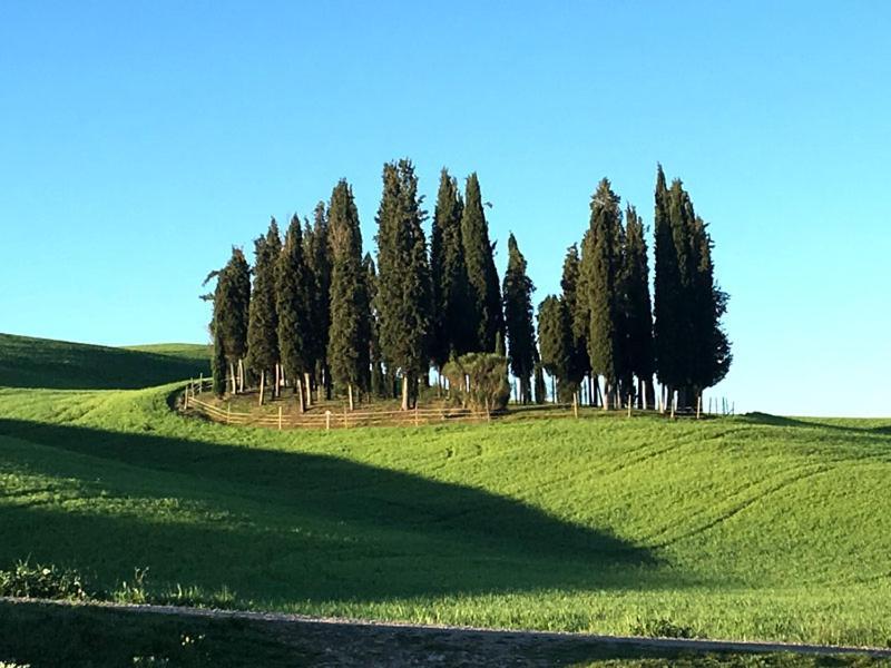 Camera La Margherita ซันกีรีโกดอร์เชีย ภายนอก รูปภาพ
